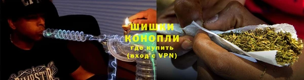 ПСИЛОЦИБИНОВЫЕ ГРИБЫ Балахна