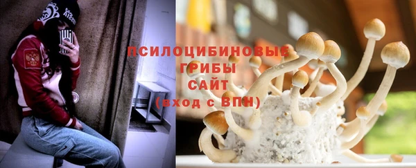 Альфа ПВП Балабаново