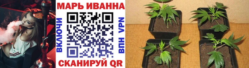 Шишки марихуана ГИДРОПОН  где найти наркотики  Котельниково 
